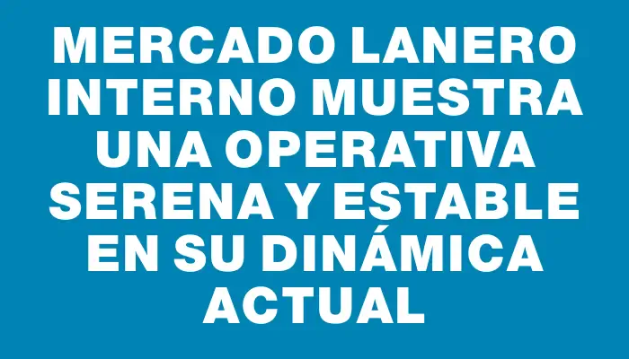 Mercado lanero interno muestra una operativa serena y estable en su dinámica actual