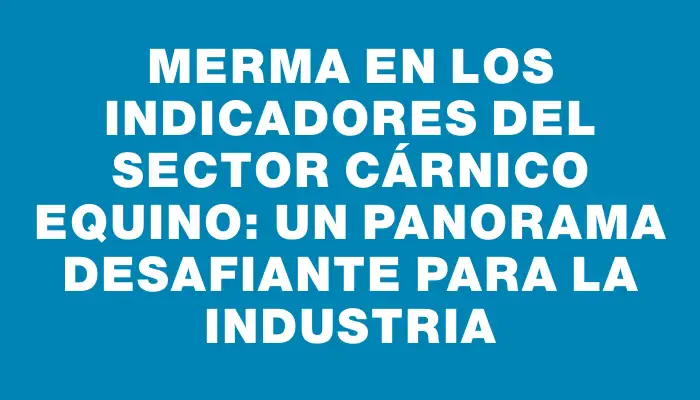 Merma en los indicadores del sector cárnico equino: un panorama desafiante para la industria