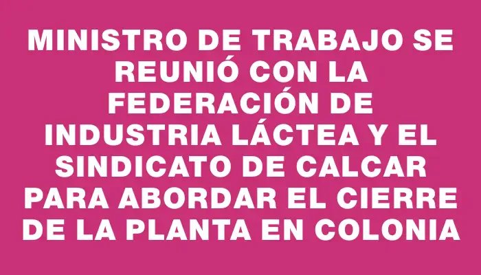 Ministro de Trabajo se reunió con la Federación de Industria Láctea y el sindicato de Calcar para abordar el cierre de la planta en Colonia