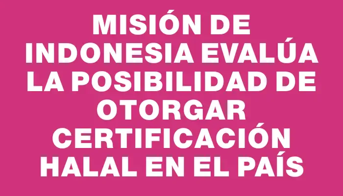 Misión de Indonesia evalúa la posibilidad de otorgar certificación halal en el país