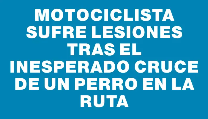 Motociclista sufre lesiones tras el inesperado cruce de un perro en la ruta