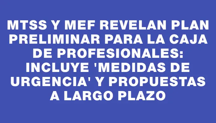 Mtss y Mef revelan plan preliminar para la Caja de Profesionales: incluye "medidas de urgencia" y propuestas a largo plazo