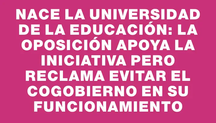 Nace la Universidad de la Educación: la oposición apoya la iniciativa pero reclama evitar el cogobierno en su funcionamiento