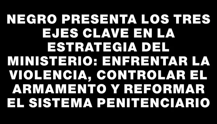 Negro presenta los tres ejes clave en la estrategia del Ministerio: enfrentar la violencia, controlar el armamento y reformar el sistema penitenciario
