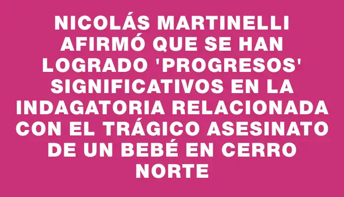 Nicolás Martinelli afirmó que se han logrado "progresos" significativos en la indagatoria relacionada con el trágico asesinato de un bebé en Cerro Norte