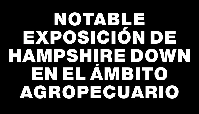 Notable exposición de Hampshire Down en el ámbito agropecuario