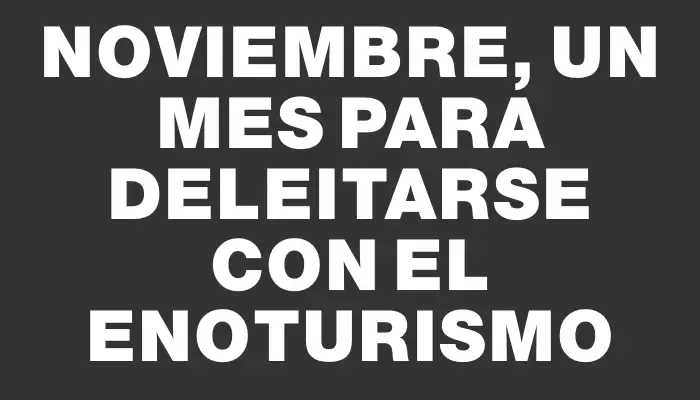 Noviembre, un mes para deleitarse con el enoturismo