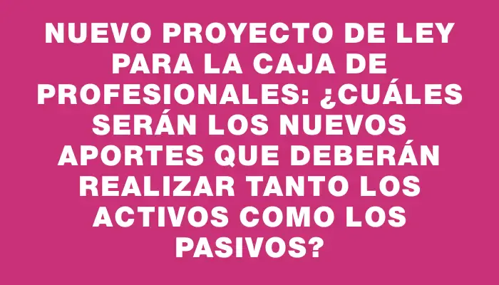 Nuevo proyecto de ley para la Caja de Profesionales: ¿Cuáles serán los nuevos aportes que deberán realizar tanto los activos como los pasivos?