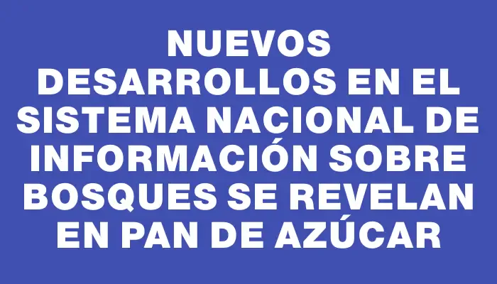 Nuevos desarrollos en el sistema nacional de información sobre bosques se revelan en Pan de Azúcar