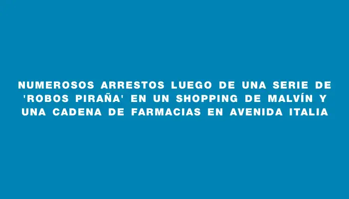 Numerosos arrestos luego de una serie de "robos piraña" en un shopping de Malvín y una cadena de farmacias en avenida Italia