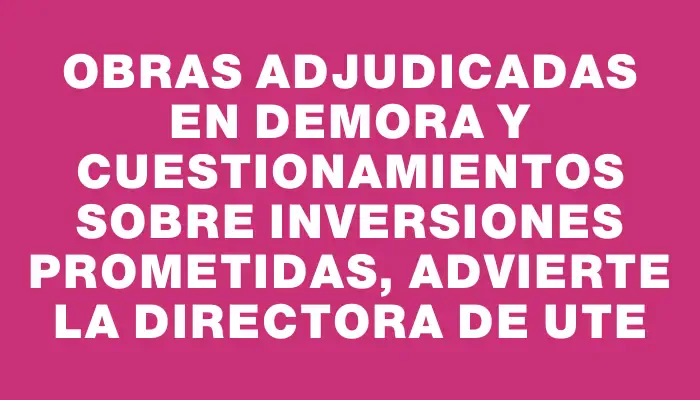 Obras adjudicadas en demora y cuestionamientos sobre inversiones prometidas, advierte la directora de Ute