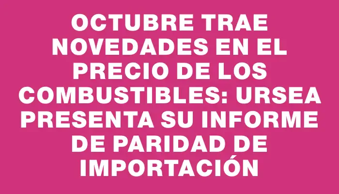 Octubre trae novedades en el precio de los combustibles: Ursea presenta su informe de paridad de importación