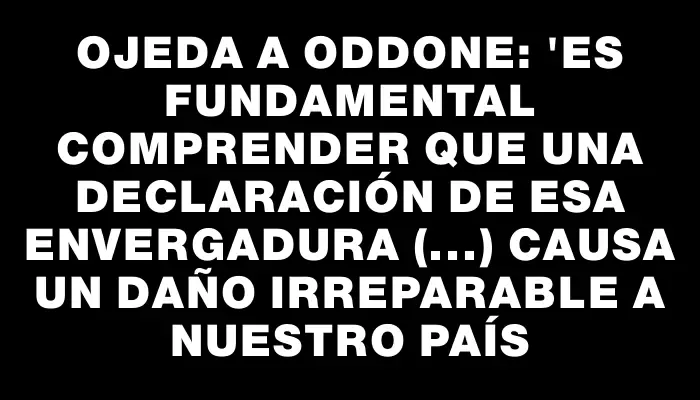 Ojeda a Oddone: "Es fundamental comprender que una declaración de esa envergadura (...) causa un daño irreparable a nuestro país