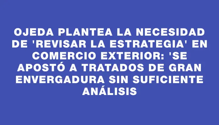 Ojeda plantea la necesidad de "revisar la estrategia" en comercio exterior: "Se apostó a tratados de gran envergadura sin suficiente análisis