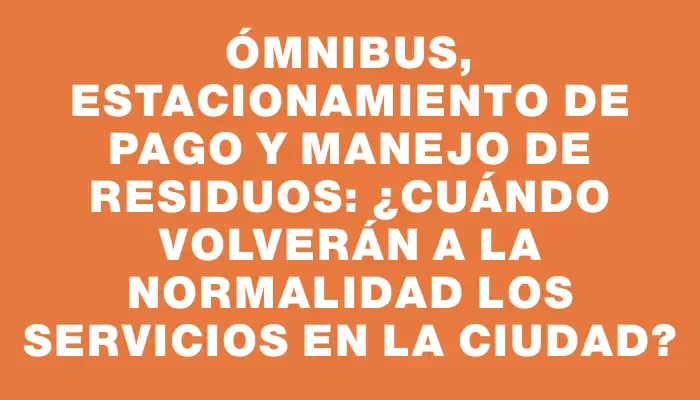 Ómnibus, estacionamiento de pago y manejo de residuos: ¿Cuándo volverán a la normalidad los servicios en la ciudad?