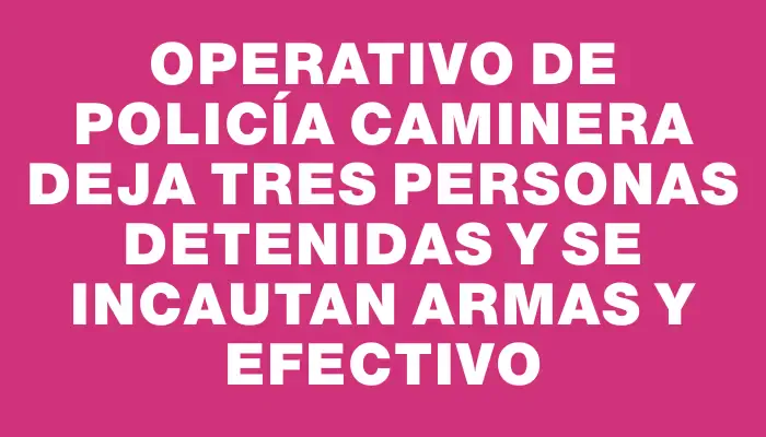 Operativo de Policía Caminera deja tres personas detenidas y se incautan armas y efectivo