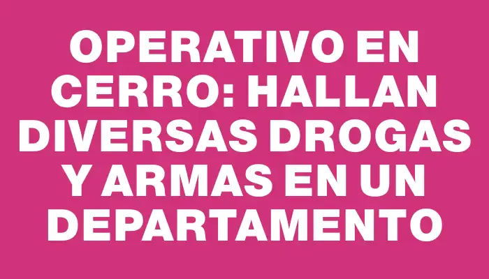 Operativo en Cerro: hallan diversas drogas y armas en un departamento