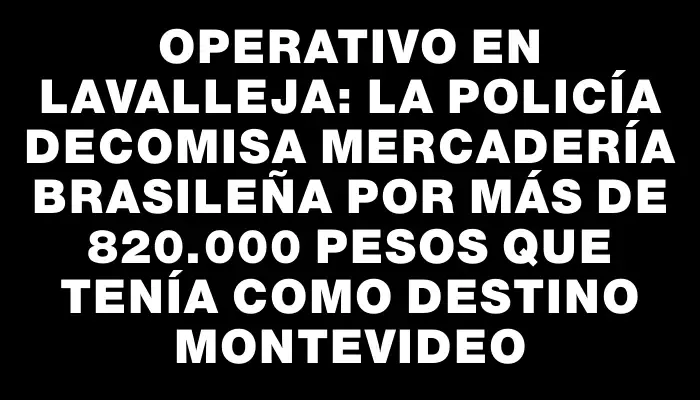 Operativo en Lavalleja: la Policía decomisa mercadería brasileña por más de 820.000 pesos que tenía como destino Montevideo