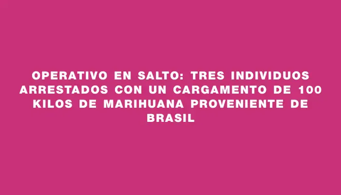 Operativo en Salto: tres individuos arrestados con un cargamento de 100 kilos de marihuana proveniente de Brasil