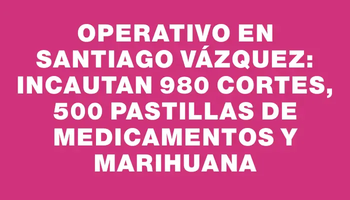 Operativo en Santiago Vázquez: incautan 980 cortes, 500 pastillas de medicamentos y marihuana