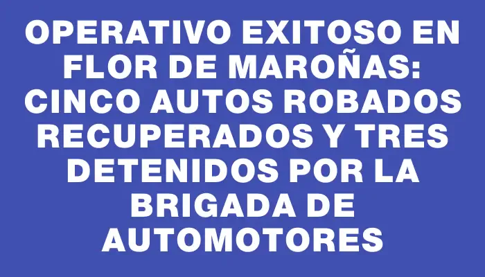 Operativo exitoso en Flor de Maroñas: cinco autos robados recuperados y tres detenidos por la Brigada de Automotores