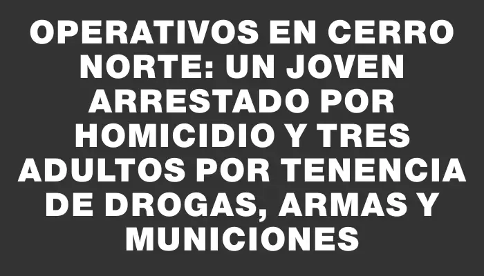 Operativos en Cerro Norte: un joven arrestado por homicidio y tres adultos por tenencia de drogas, armas y municiones