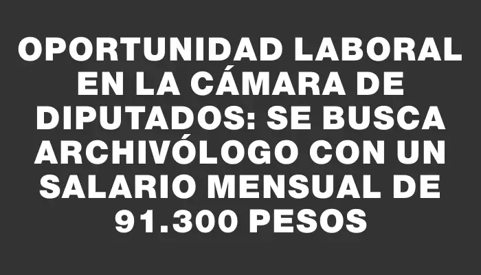 Oportunidad laboral en la Cámara de Diputados: Se busca archivólogo con un salario mensual de 91.300 pesos