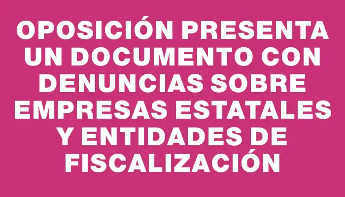 Oposición presenta un documento con denuncias sobre empresas estatales y entidades de fiscalización
