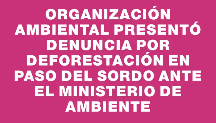 Organización ambiental presentó denuncia por deforestación en Paso del Sordo ante el Ministerio de Ambiente