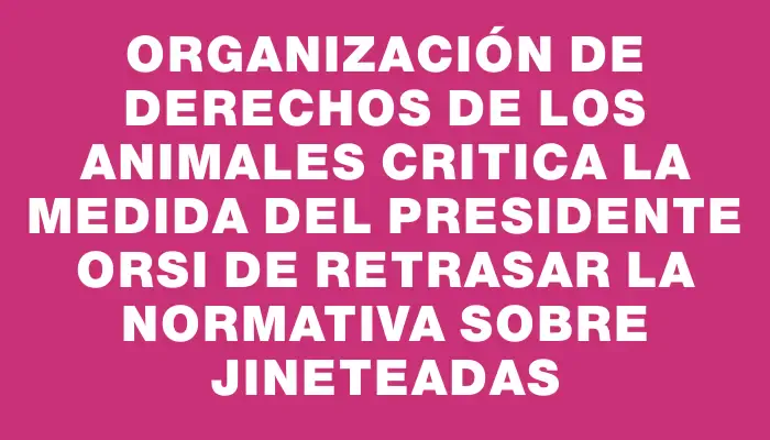 Organización de derechos de los animales critica la medida del presidente Orsi de retrasar la normativa sobre jineteadas