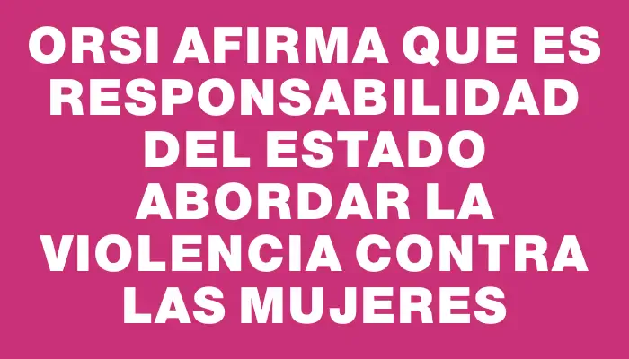 Orsi afirma que es responsabilidad del Estado abordar la violencia contra las mujeres