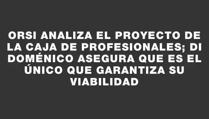 Orsi analiza el proyecto de la Caja de Profesionales; Di Doménico asegura que es el único que garantiza su viabilidad