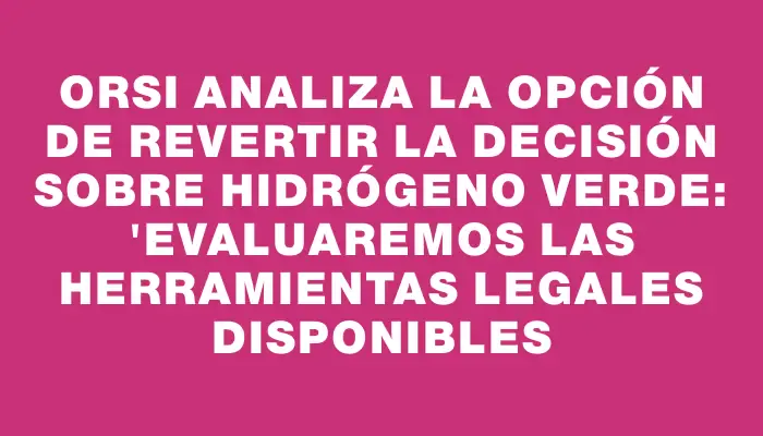 Orsi analiza la opción de revertir la decisión sobre hidrógeno verde: "Evaluaremos las herramientas legales disponibles