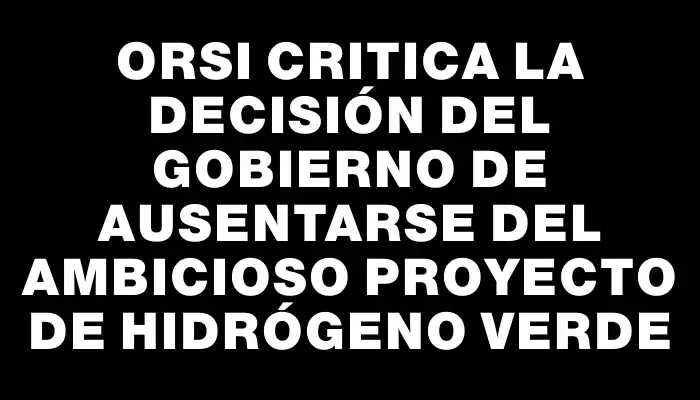 Orsi critica la decisión del Gobierno de ausentarse del ambicioso proyecto de hidrógeno verde