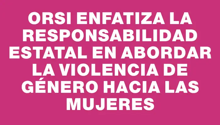 Orsi enfatiza la responsabilidad estatal en abordar la violencia de género hacia las mujeres