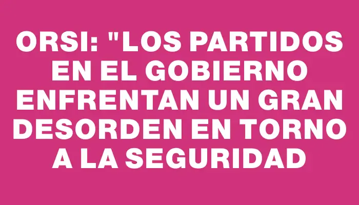 Orsi: "Los partidos en el gobierno enfrentan un gran desorden en torno a la seguridad