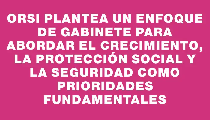 Orsi plantea un enfoque de gabinete para abordar el crecimiento, la protección social y la seguridad como prioridades fundamentales