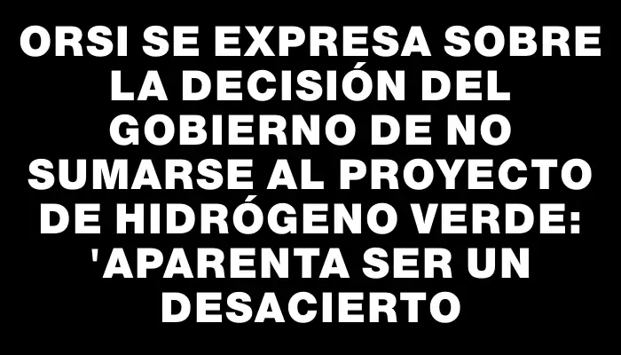 Orsi se expresa sobre la decisión del gobierno de no sumarse al proyecto de hidrógeno verde: "Aparenta ser un desacierto