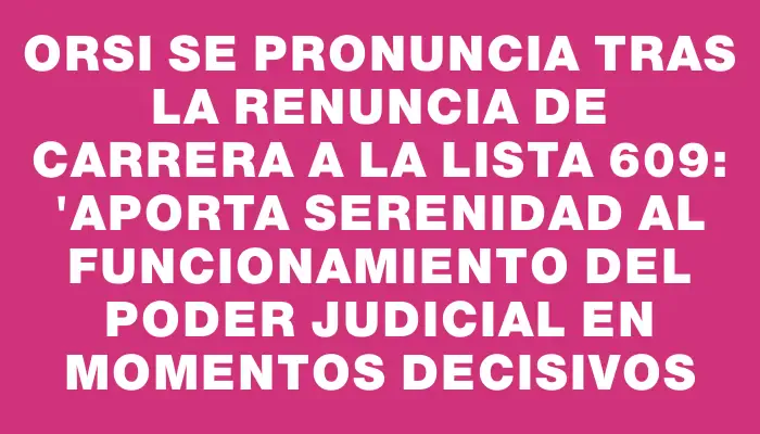 Orsi se pronuncia tras la renuncia de Carrera a la lista 609: "Aporta serenidad al funcionamiento del Poder Judicial en momentos decisivos