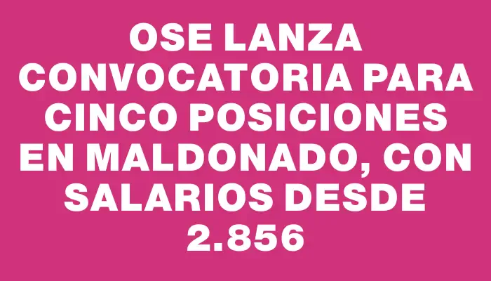 Ose lanza convocatoria para cinco posiciones en Maldonado, con salarios desde $42.856