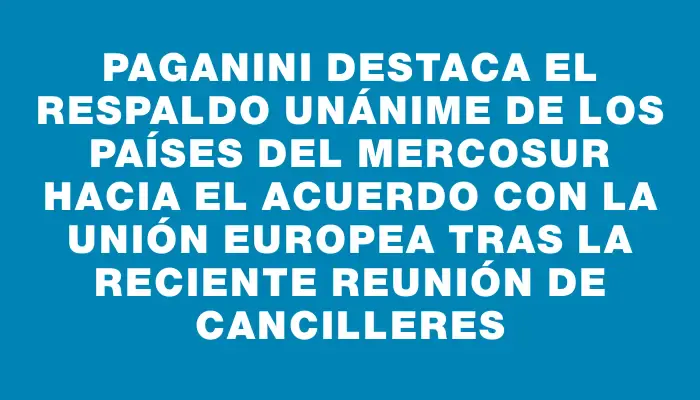 Paganini destaca el respaldo unánime de los países del Mercosur hacia el acuerdo con la Unión Europea tras la reciente reunión de cancilleres