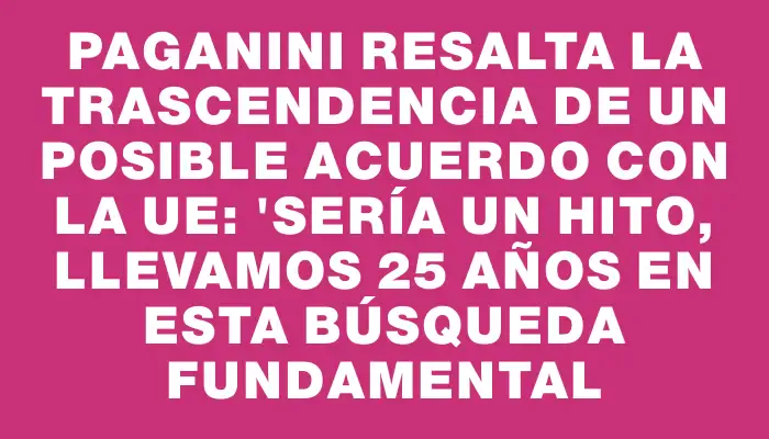 Paganini resalta la trascendencia de un posible acuerdo con la Ue: "Sería un hito, llevamos 25 años en esta búsqueda fundamental