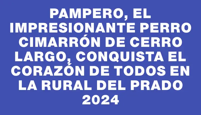 Pampero, el impresionante perro cimarrón de Cerro Largo, conquista el corazón de todos en la Rural del Prado 2024