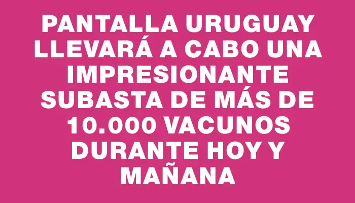 Pantalla Uruguay llevará a cabo una impresionante subasta de más de 10.000 vacunos durante hoy y mañana