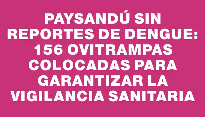 Paysandú sin reportes de dengue: 156 ovitrampas colocadas para garantizar la vigilancia sanitaria