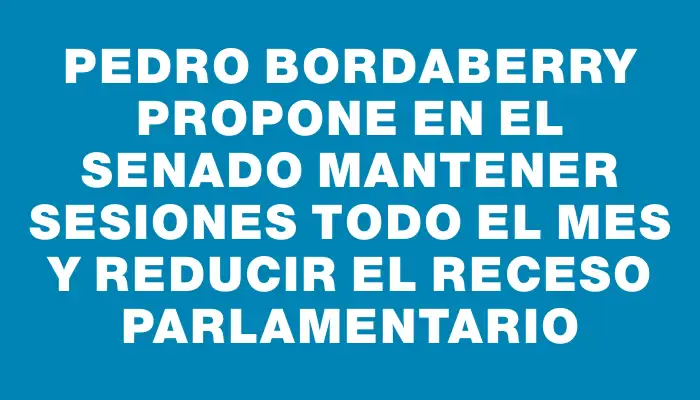 Pedro Bordaberry propone en el Senado mantener sesiones todo el mes y reducir el receso parlamentario