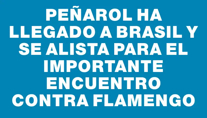 Peñarol ha llegado a Brasil y se alista para el importante encuentro contra Flamengo