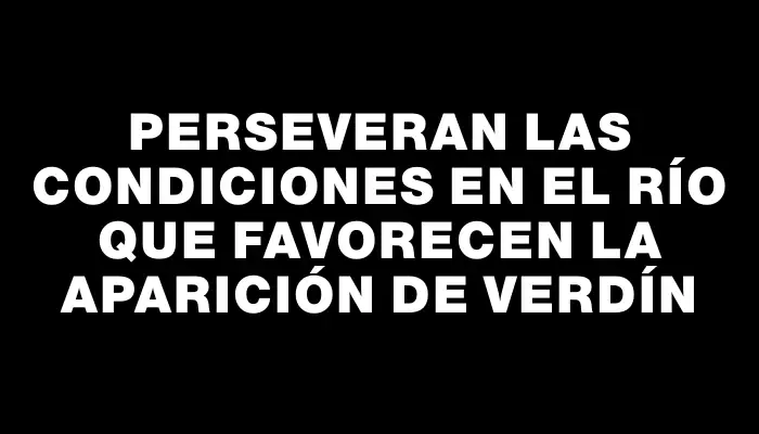 Perseveran las condiciones en el río que favorecen la aparición de verdín