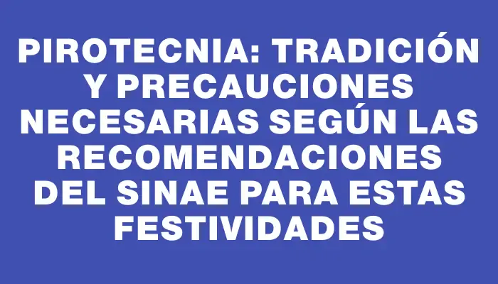 Pirotecnia: Tradición y precauciones necesarias según las recomendaciones del Sinae para estas festividades