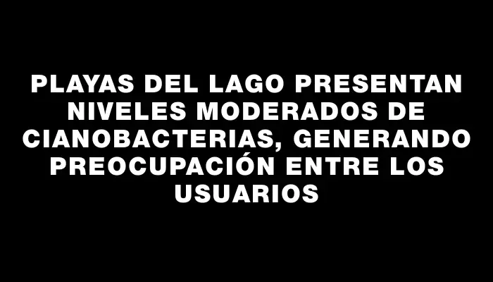 Playas del Lago presentan niveles moderados de cianobacterias, generando preocupación entre los usuarios